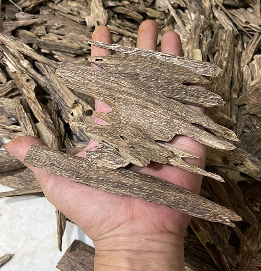 Mini Super Plus Kalimantan Nature’s Serene Oud