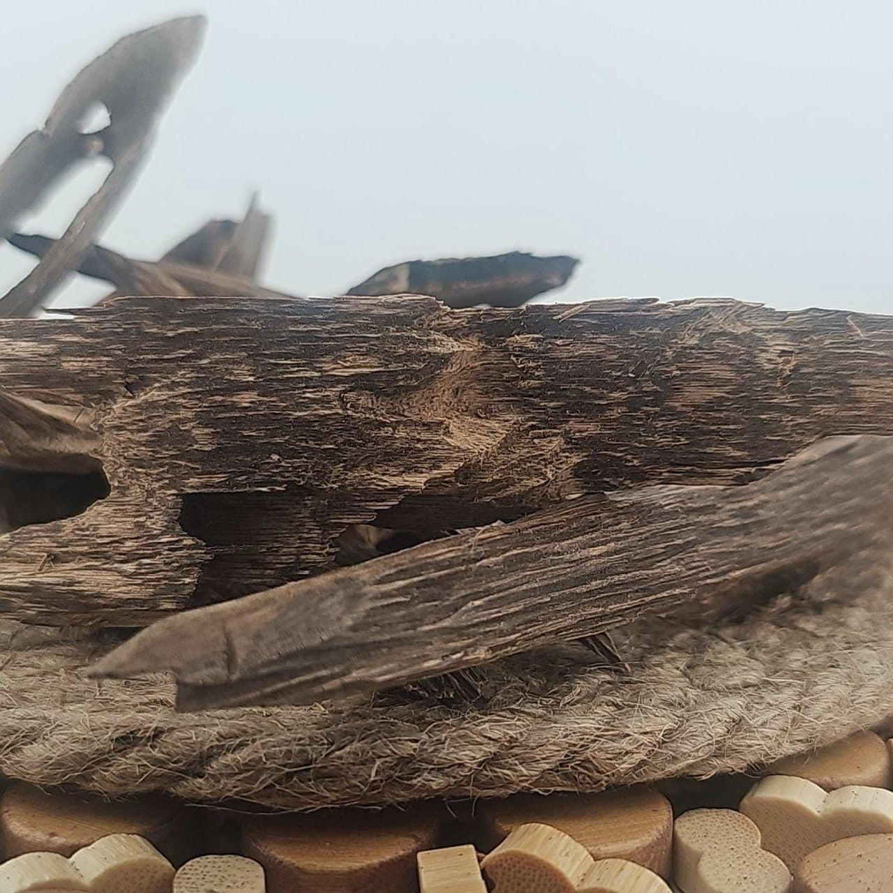 Super Grade Pontianak Kalimantan Oud