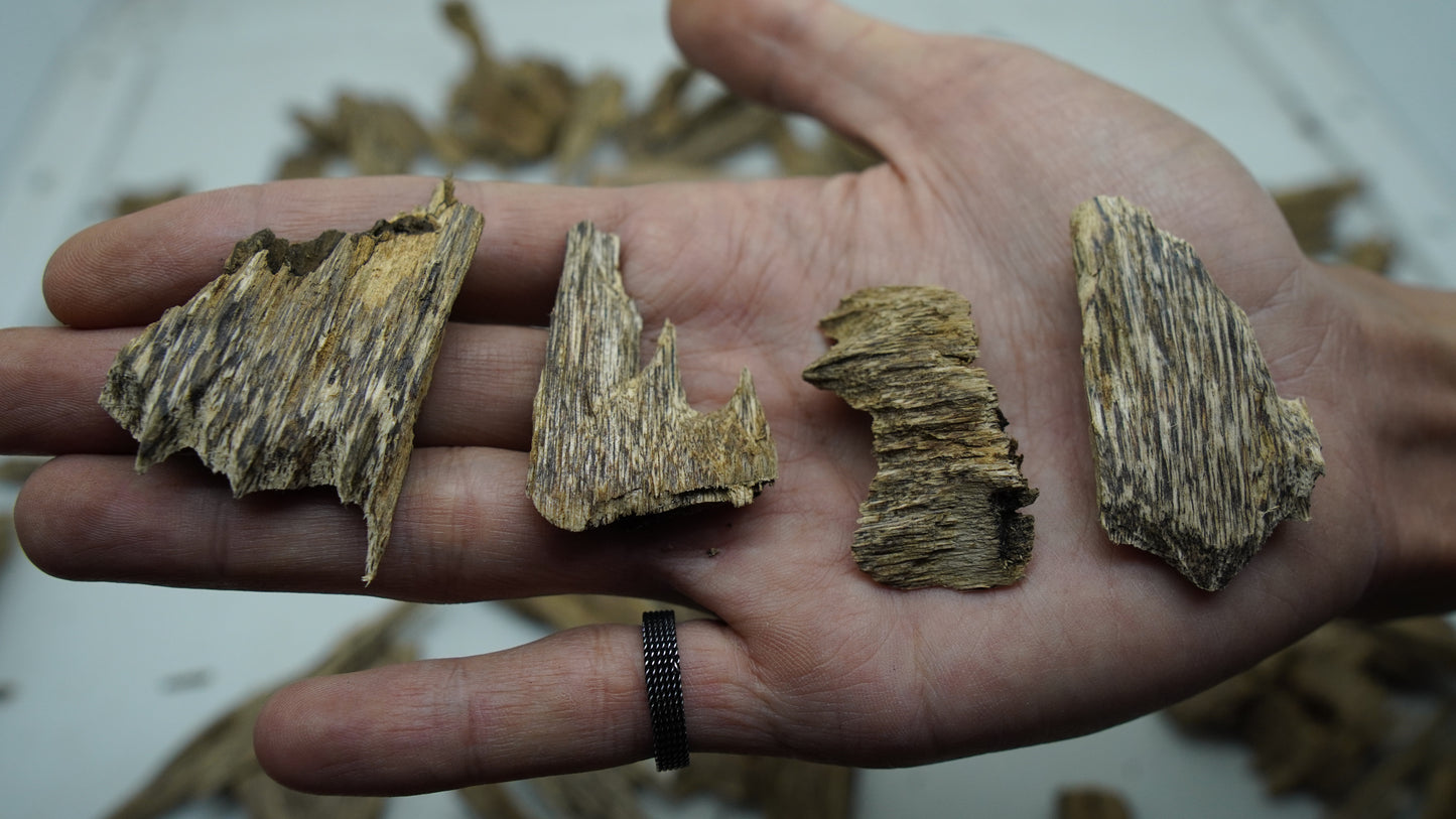 Close-up of Super AB grade Sumatra oud chip pieces from Bangka region