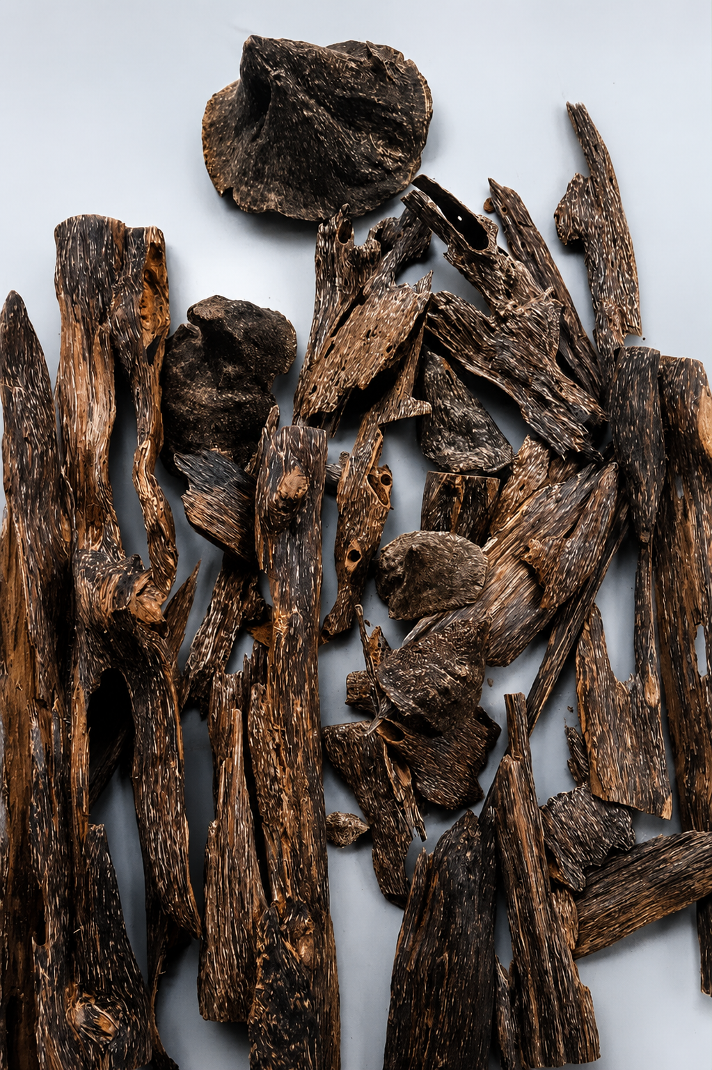 New to Oud? A Beginner's Guide to Chips, Bakhoor, and Oil