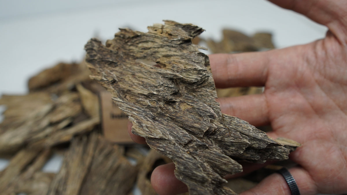 How to Tell Real Agarwood Chips from Fake or Adulterated Wood