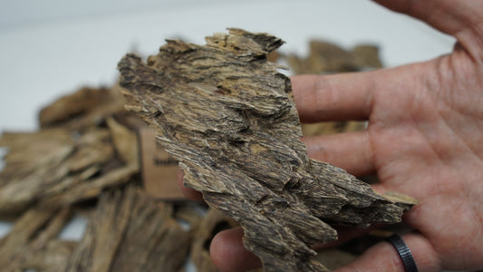Super grade agarwood chip showing dense resin saturation, used to illustrate how to tell real agarwood from fake
