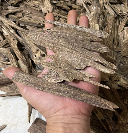 Mini Super Plus Kalimantan Nature’s Serene Oud