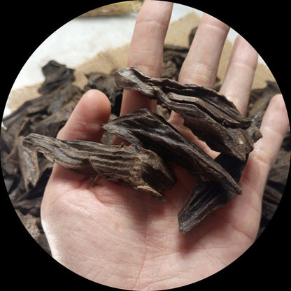 Intense Kalimantan Agarwood