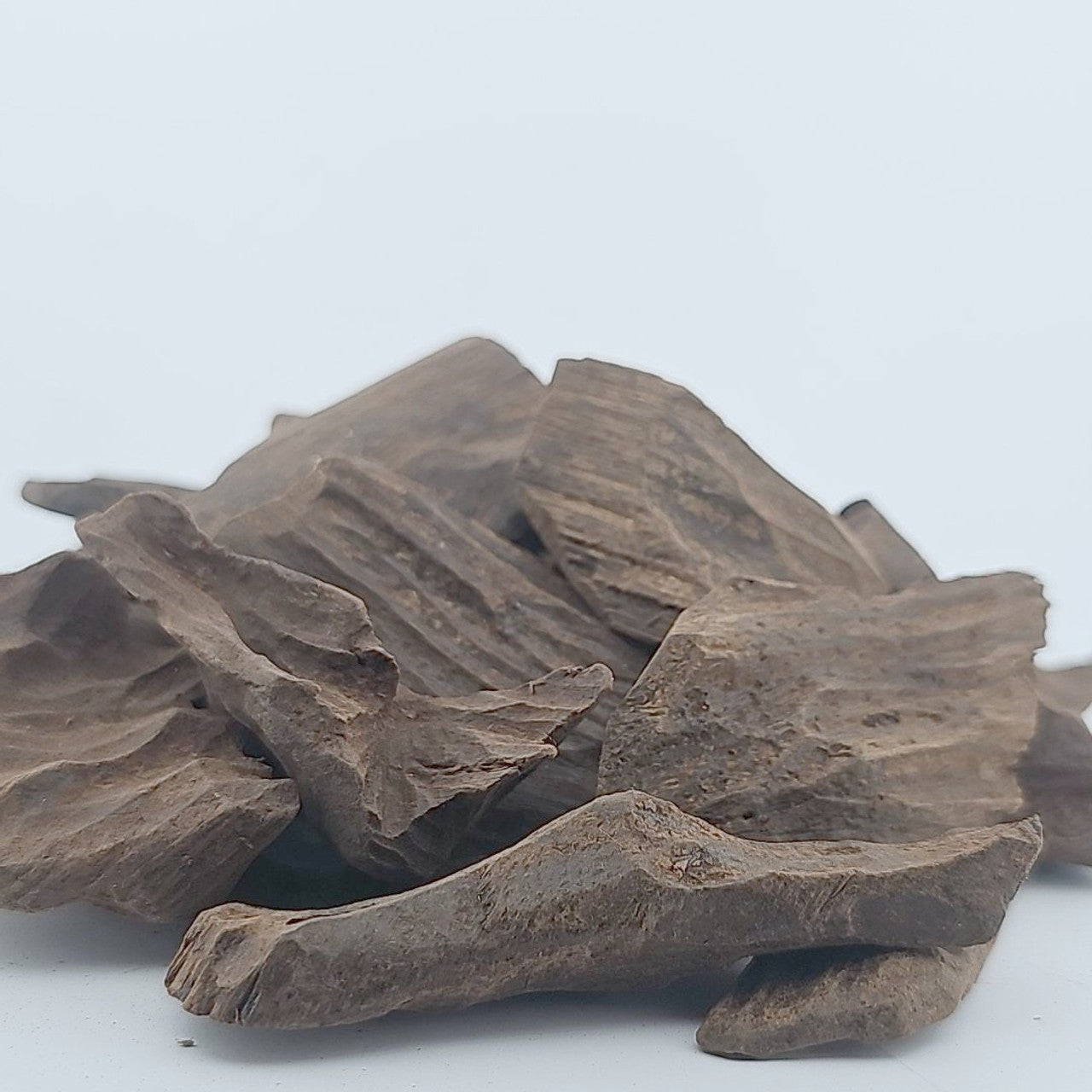 Intense Kalimantan Agarwood